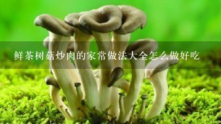 鲜茶树菇炒肉的家常做法大全怎么做好吃