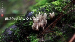 藕汤的做法大全家常菜