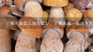 干猴头菇怎么泡发最好，干猴头菇1般泡多久