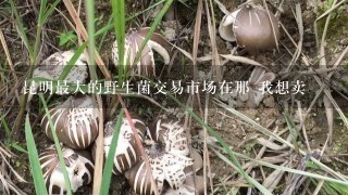 昆明最大的野生菌交易市场在那 我想卖