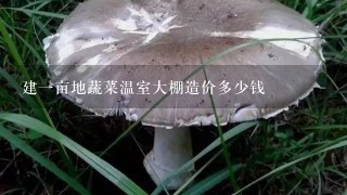 建1亩地蔬菜温室大棚造价多少钱