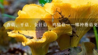 香菇、平菇、金针菇、鸡腿菇……哪种蘑菇更营养？怎