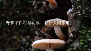 野茶子作用与功效，有什么副作用？