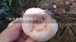 3菌炖排骨视频做法？