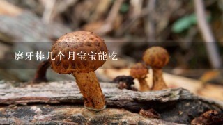 磨牙棒几个月宝宝能吃