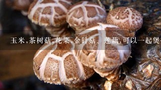 玉米,茶树菇,花菜,金针菇、莲藕,可以1起煲排骨汤吗?