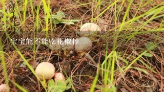 宝宝能不能吃花椒棒