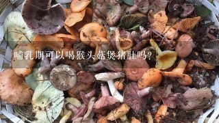 哺乳期可以喝猴头菇煲猪肚吗？