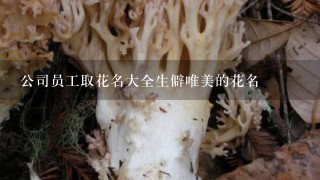 公司员工取花名大全生僻唯美的花名