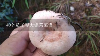 40个员工餐大锅菜菜谱