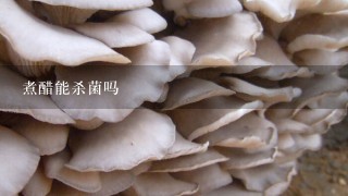 煮醋能杀菌吗