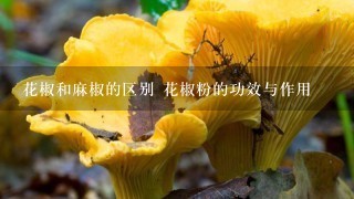 花椒和麻椒的区别 花椒粉的功效与作用