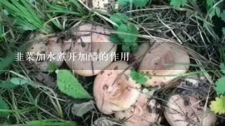 韭菜加水煮开加醋的作用