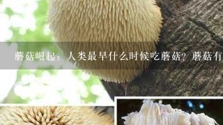 蘑菇崛起：人类最早什么时候吃蘑菇？蘑菇有哪些种类吗