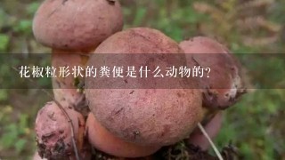 花椒粒形状的粪便是什么动物的？