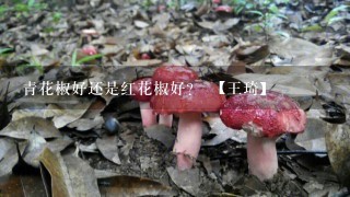 青花椒好还是红花椒好？ 【王琦】