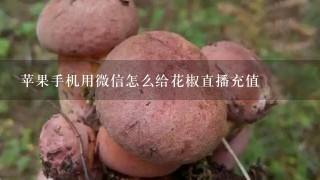 苹果手机用微信怎么给花椒直播充值