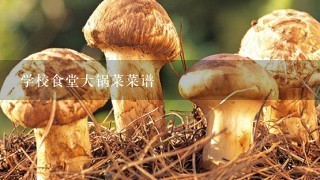 学校食堂大锅菜菜谱