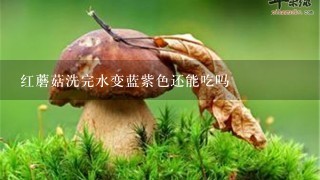 红蘑菇洗完水变蓝紫色还能吃吗