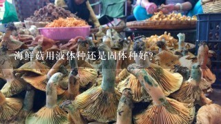 海鲜菇用液体种还是固体种好？