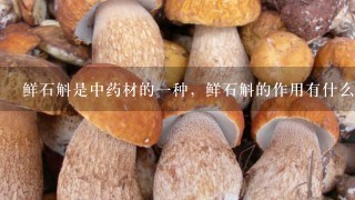 鲜石斛是中药材的1种，鲜石斛的作用有什么？