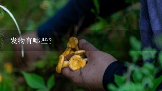 发物有哪些？