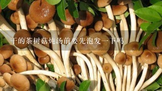 干的茶树菇炖汤前要先泡发1下吗