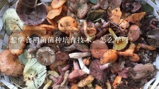 想学食用菌菌种培育技术，怎么学呀？