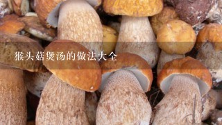 猴头菇煲汤的做法大全