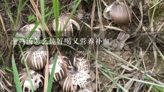 土鸡汤怎么炖好喝又营养补血