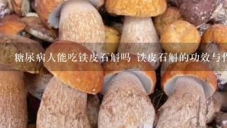 糖尿病人能吃铁皮石斛吗 铁皮石斛的功效与作用