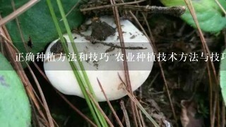 正确种植方法和技巧 农业种植技术方法与技巧