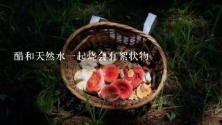 醋和天然水1起烧会有絮状物