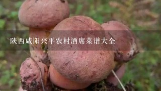 陕西咸阳兴平农村酒席菜谱大全