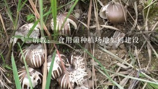 向“”请教： 食用菌种植场地如何建设