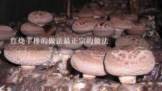 红烧羊排的做法最正宗的做法