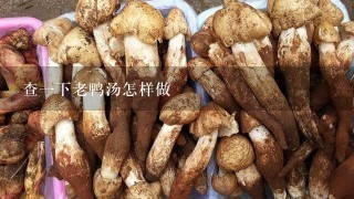 查1下老鸭汤怎样做