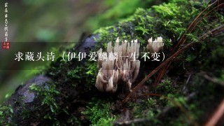 求藏头诗（伊伊爱麟麟1生不变）