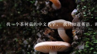 找1个茶树菇的中文名字， 我只知道英语，谢谢