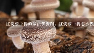 红烧萝卜鸭的做法步骤图，红烧萝卜鸭怎么做