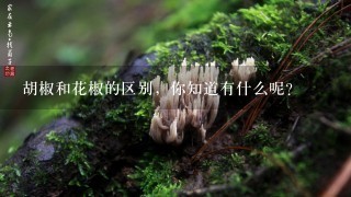 胡椒和花椒的区别，你知道有什么呢？