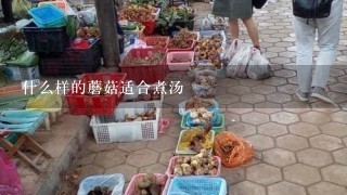 什么样的蘑菇适合煮汤