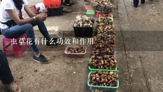 虫草花有什么功效和作用