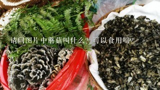 请问图片中蘑菇叫什么？可以食用吗？