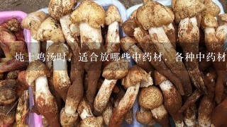 炖土鸡汤时，适合放哪些中药材，各种中药材都有什么作用呢？