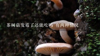 茶树菇发霉了还能吃吗 有两种情况