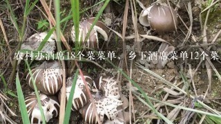 农村办酒席18个菜菜单，乡下酒席菜单12个菜是什么？