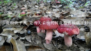 花椒烘干机,是当天采摘的鲜花椒直接烘干好,还是采摘