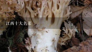 江西十大名菜