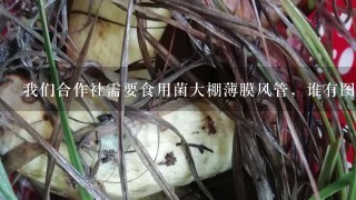 我们合作社需要食用菌大棚薄膜风管，谁有图片报价